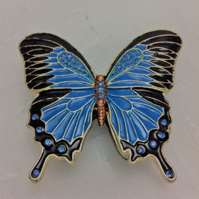 Blue Tail Butterfly